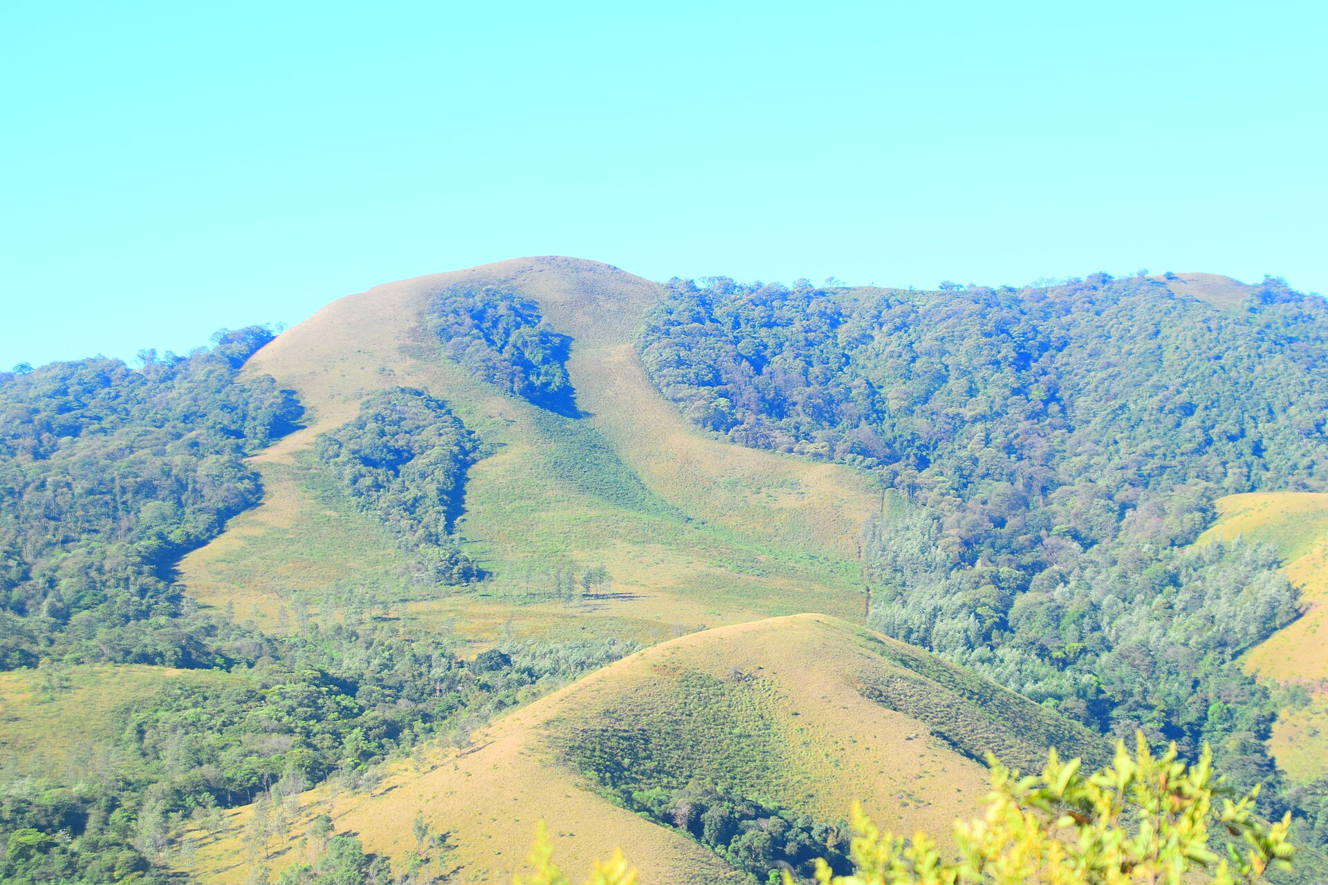 Bengaluru → Chikmagalur