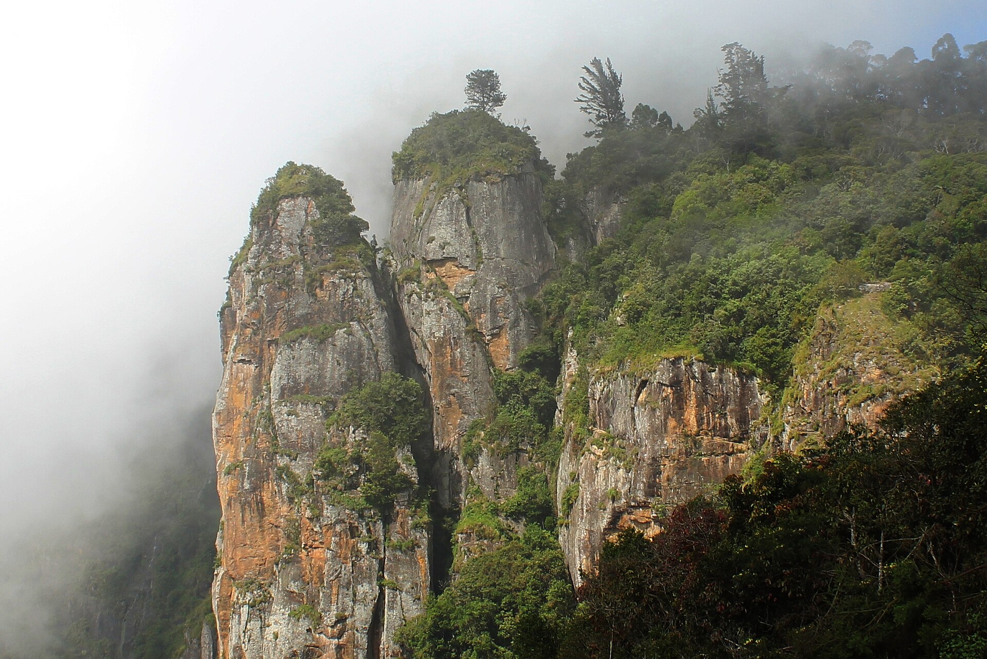 Kodaikanal Nature Retreat