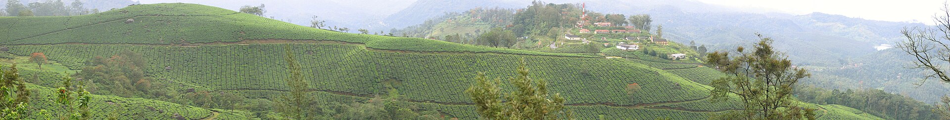 Bengaluru → Munnar & Alleppey