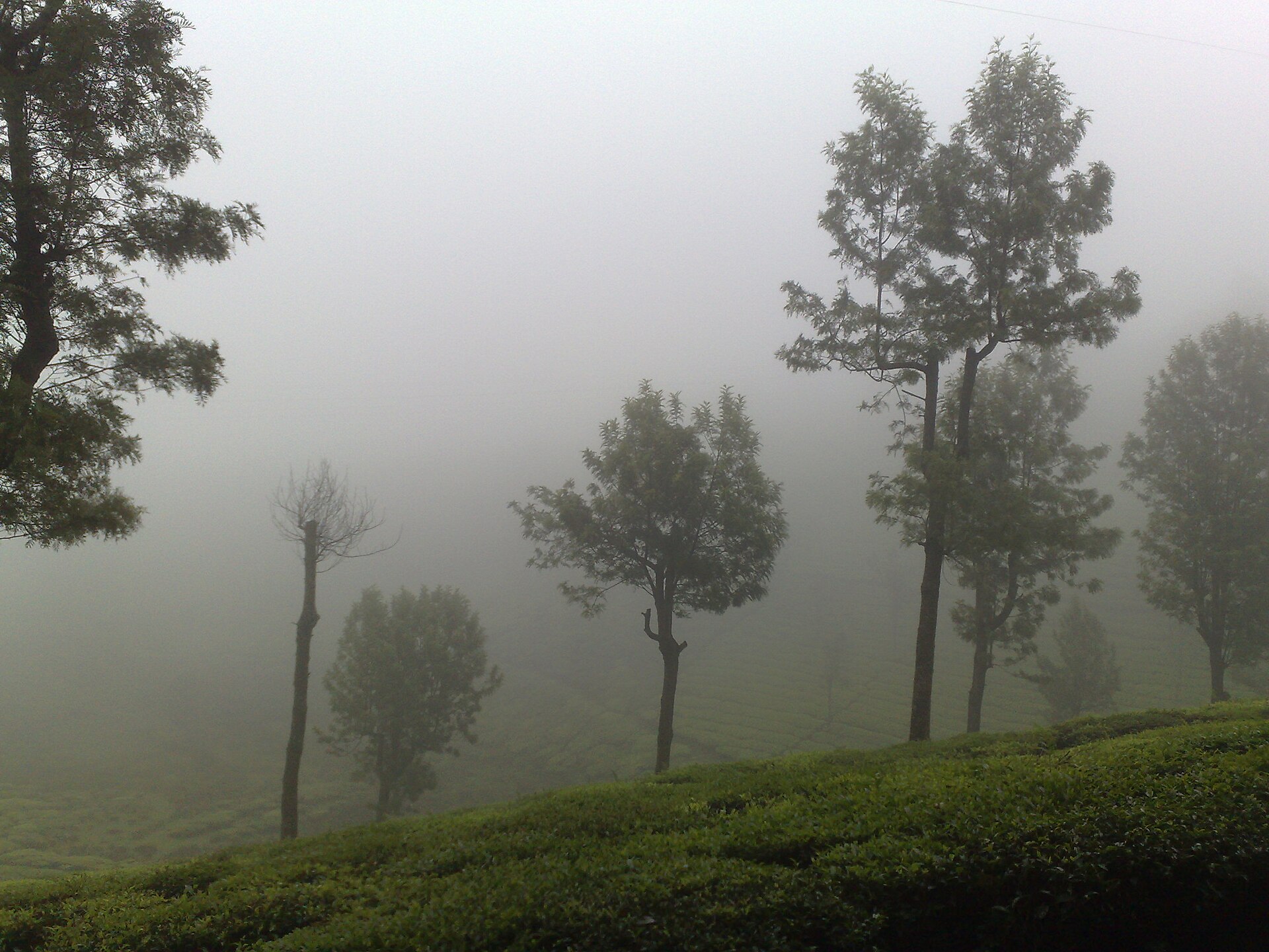 Bengaluru → Ooty Hills